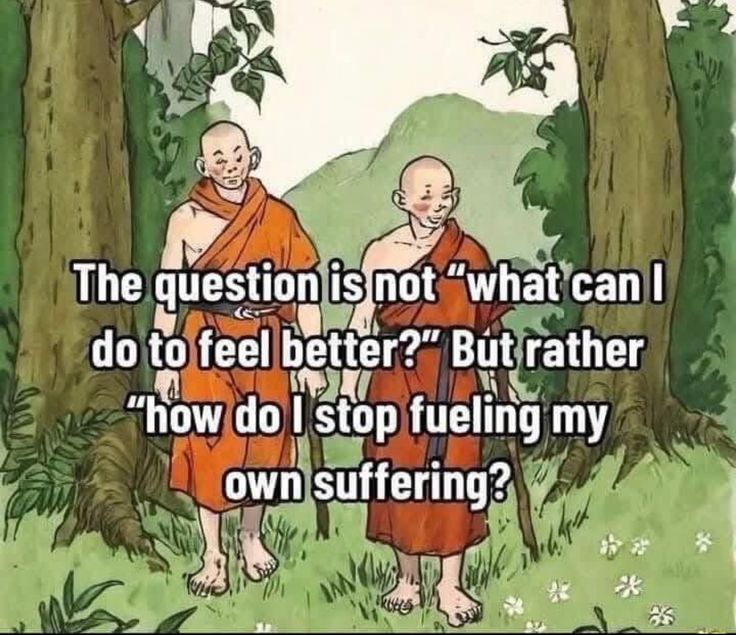 Zen masters tweet media