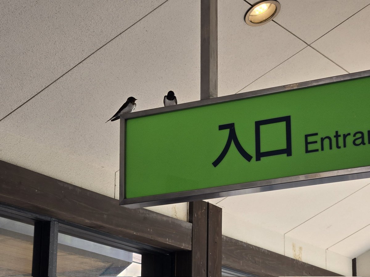 本日谷汲駅臨時営業しております。 また、明日は毎月第3日曜日の定例