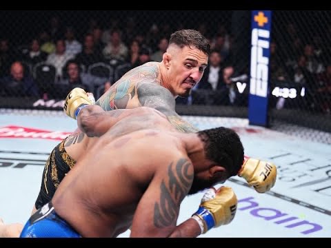 Club De La MMA tweet media