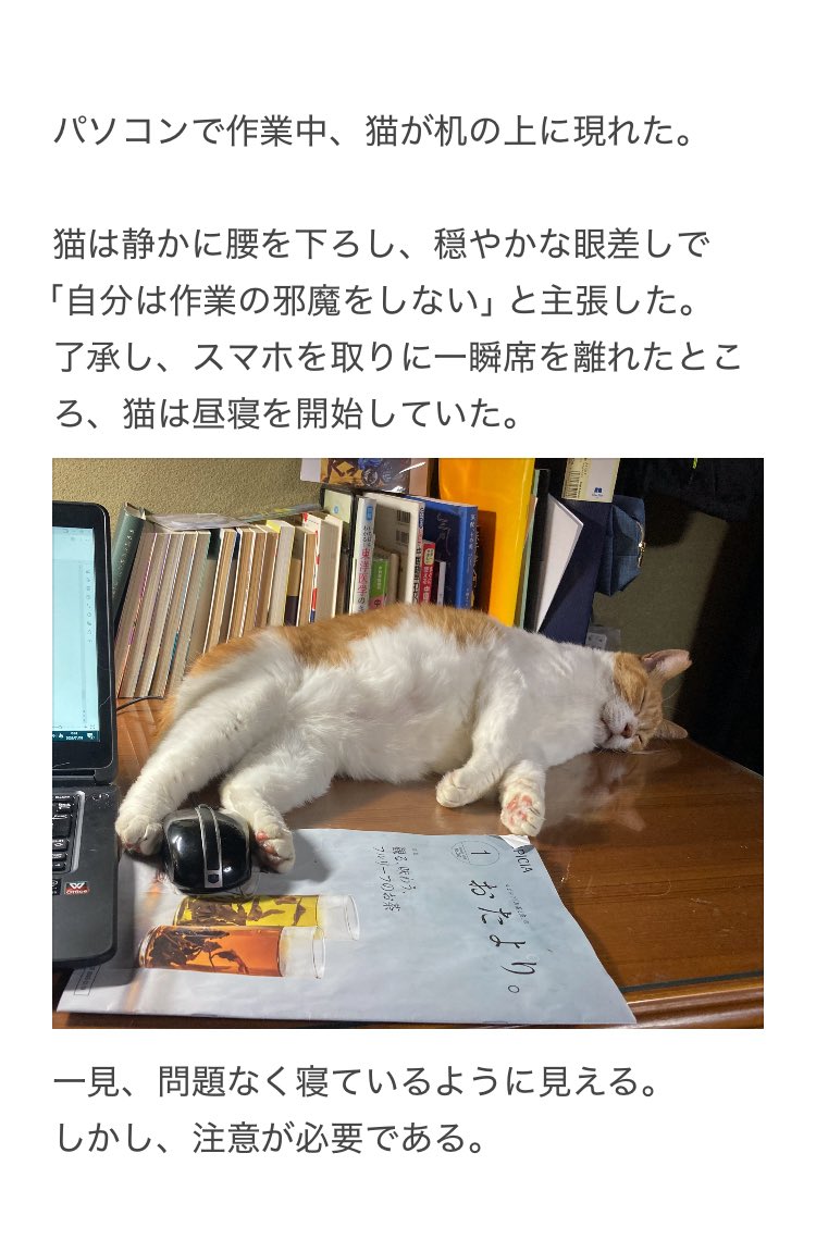 やーこ tweet media
