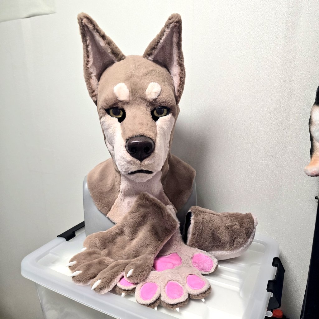 Dogma fursuit tweet media