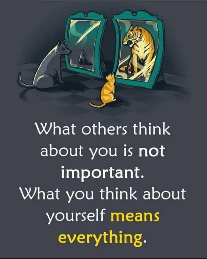 Mind Menifest tweet media