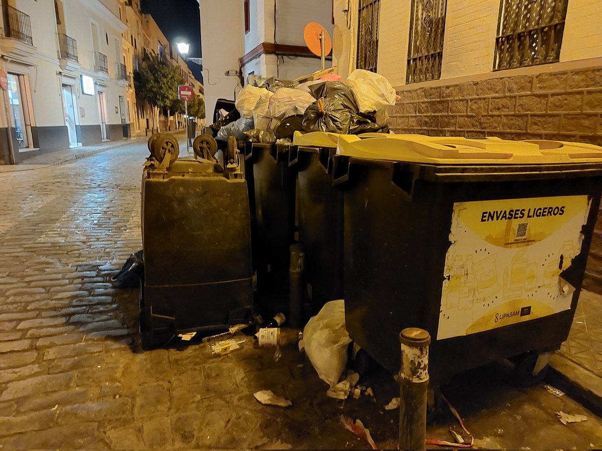 ana sánchez ameneiro tweet media