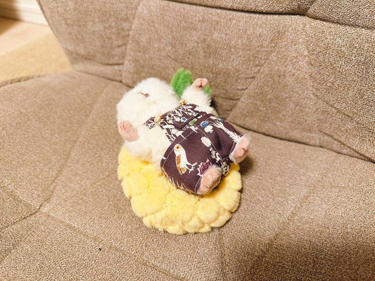 ぽぽた ✿ᵕ̈ tweet media