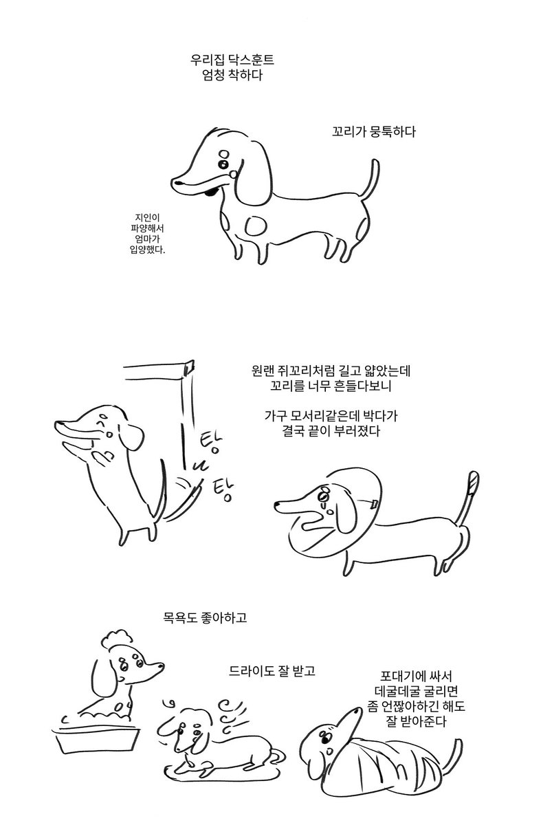 효자 tweet media