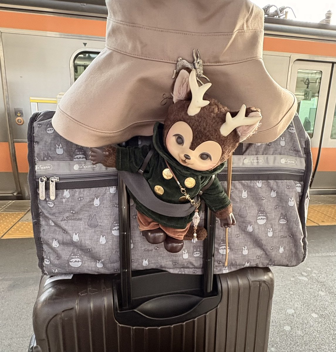ひなたかほり🪴5/16-17東京蚤の市 tweet media