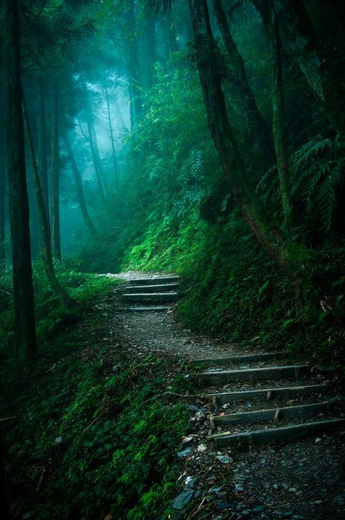 Earth pictures 🌍🌎🌏 tweet media