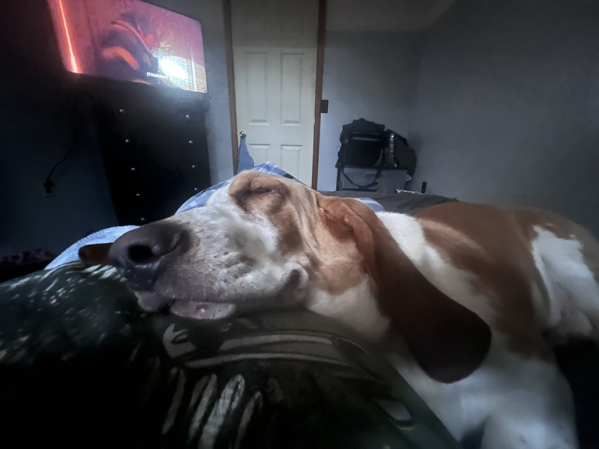 Sgt. Tater Ret. tweet media