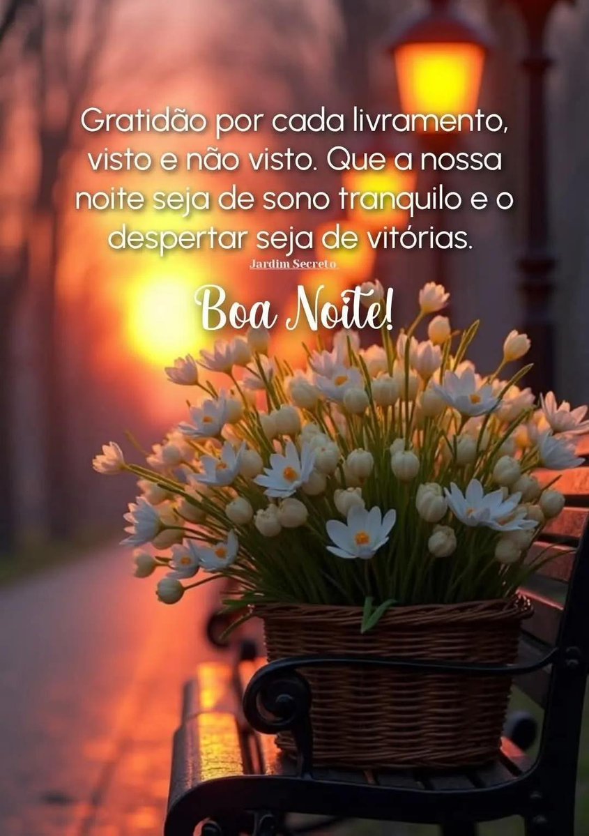 @cat ap neves⚘️ tweet media