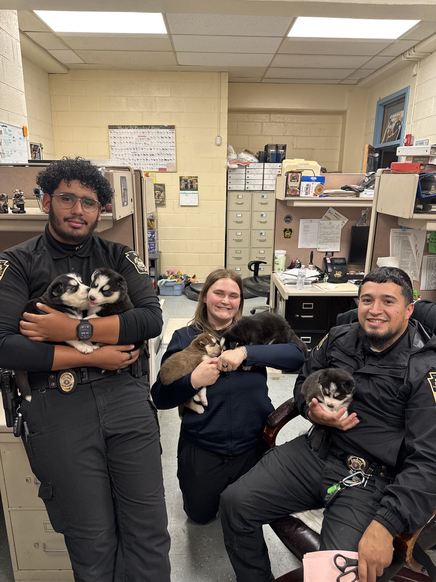 Pennsylvania SPCA tweet media