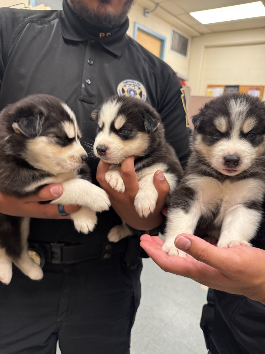 Pennsylvania SPCA tweet media