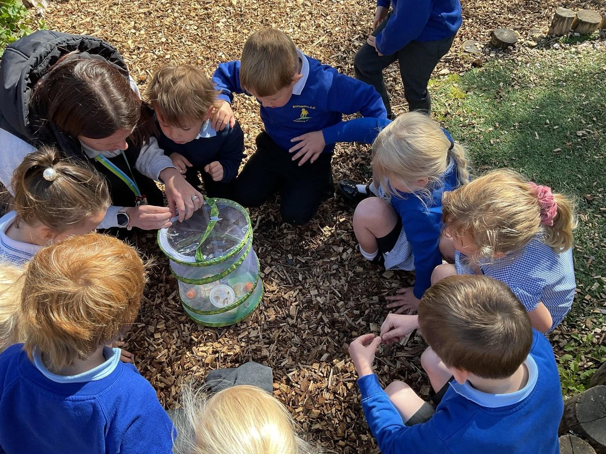 StottesdonCofE's tweet photo. Reception children from Stottesdon CofE Primary School released the butterflies they have seen grow from caterpillars. #nature #reception https://t.co/vwYEDLrasG
