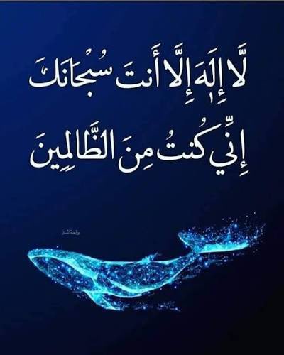 أبو عبدالله tweet media