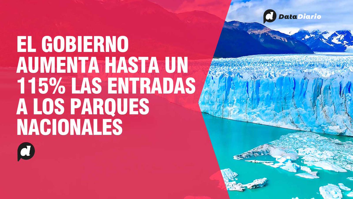 Data Diario tweet media