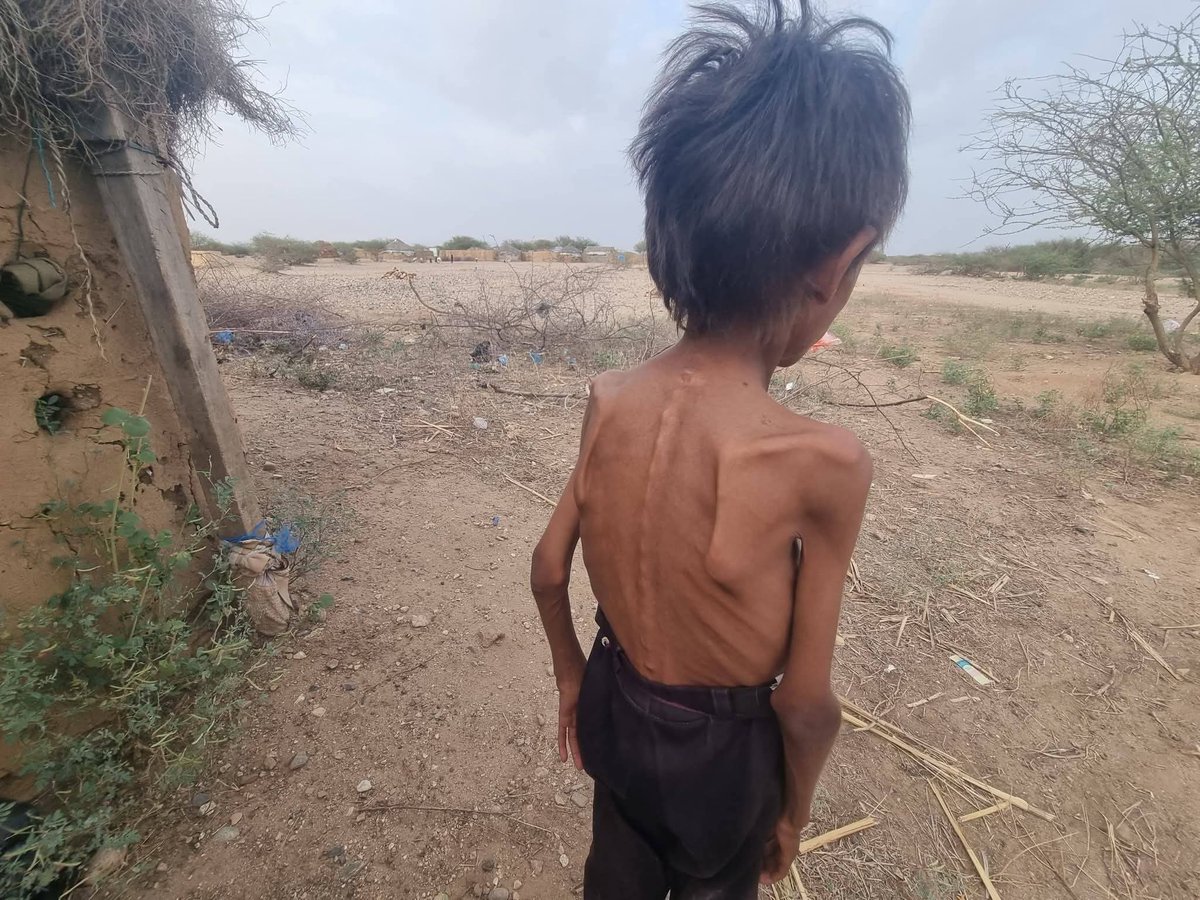 عفاف محمد tweet media