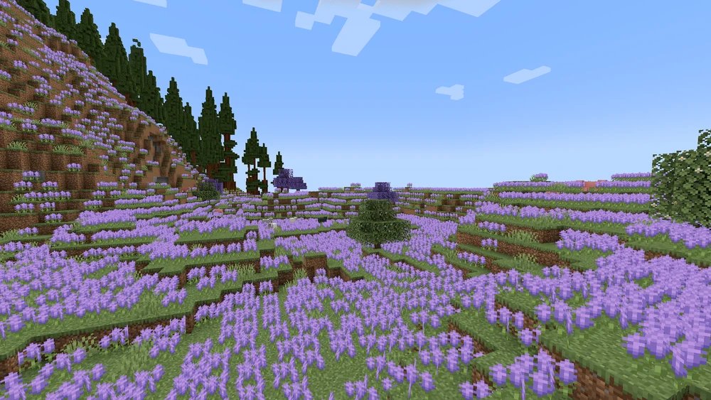 Wersjon's tweet photo. @Minecraft Lavender Field biome https://t.co/FJ4q3MySWO