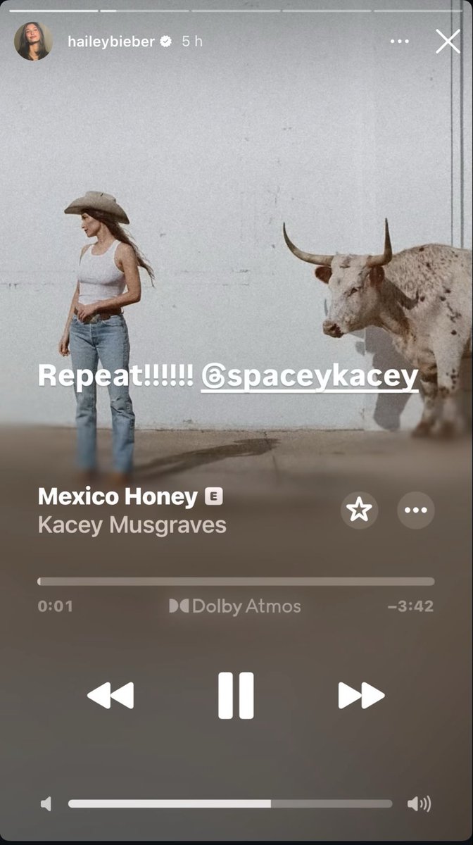 KaceyAcervo's tweet photo. 🚨| Hailey Bieber ouvindo México honey https://t.co/Tb1V4CpGyr