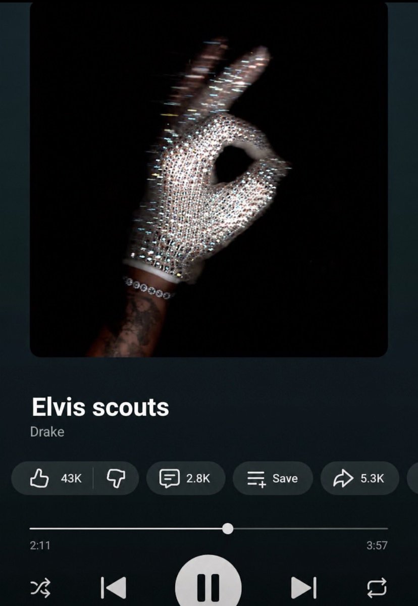 Elvis Scouts tweet media