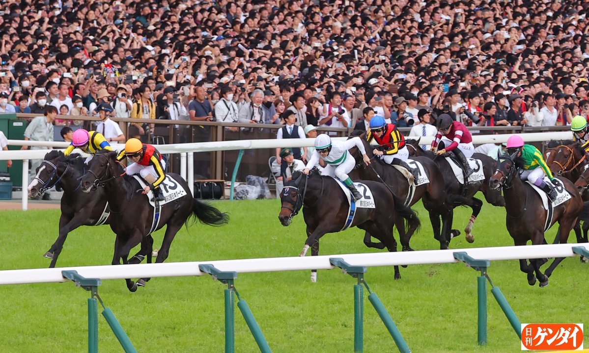 日刊ゲンダイ 競馬 tweet media