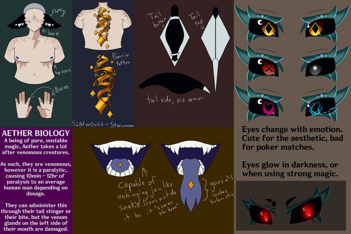 Aetheriiel's tweet photo. I realized I never added the biology reference on here! Here it is! https://t.co/t3JoNc7S0n