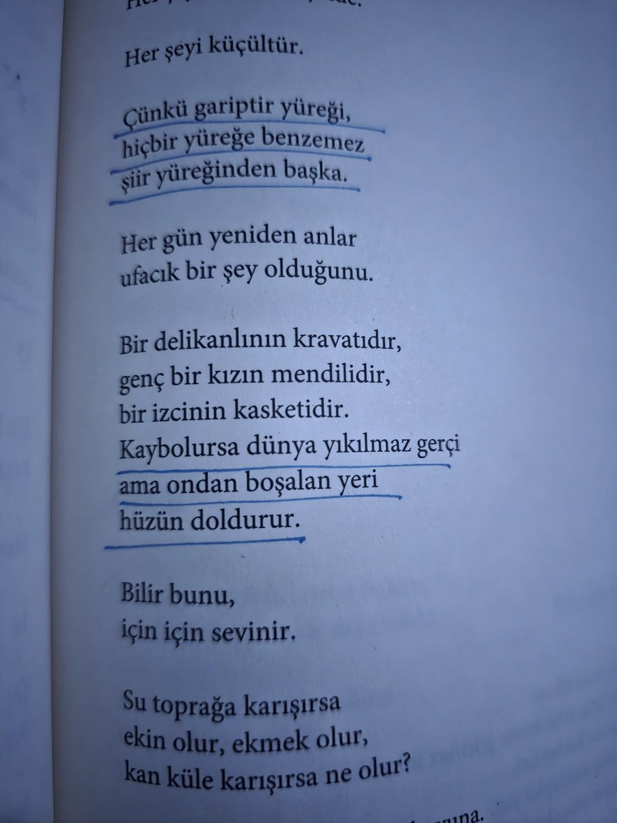 eminolamazsınki tweet media