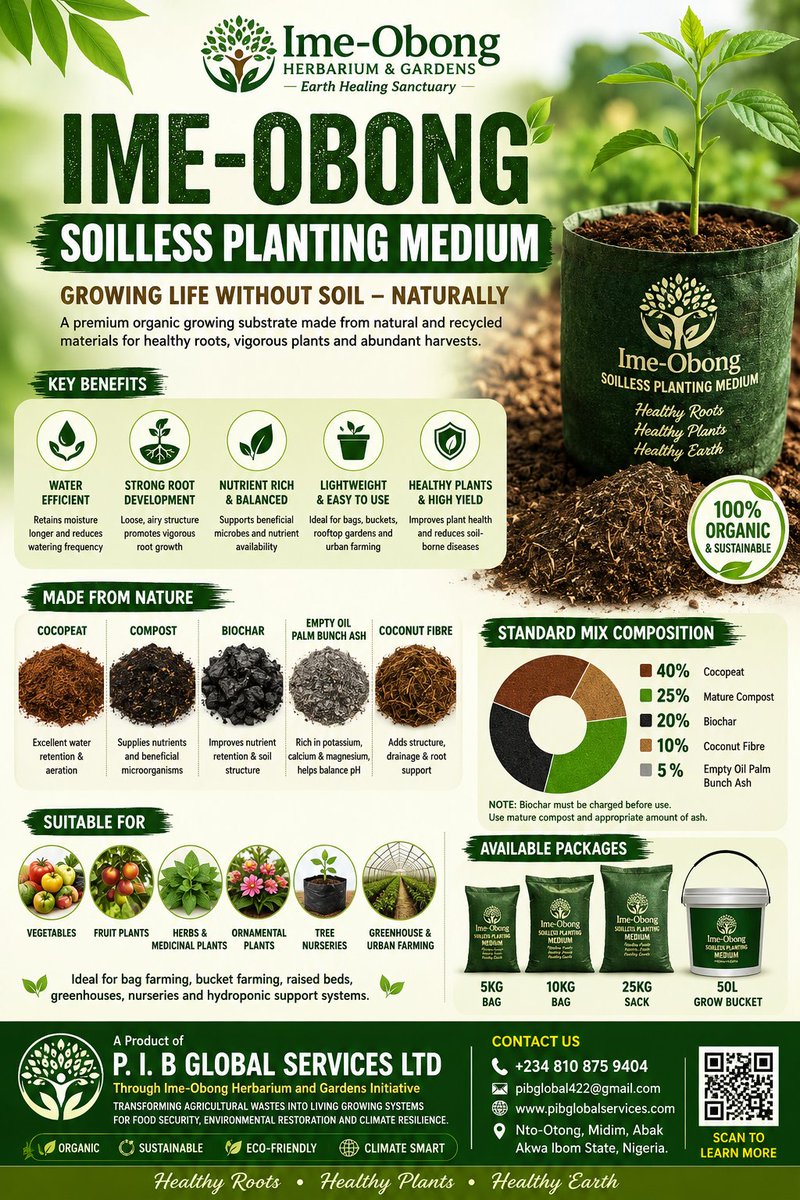 PIBGlobal1's tweet photo. To grow your food and medicine no hard, na u dey wait for soil.
#soillessfarming #zerohunger https://t.co/oChvsBPwLb