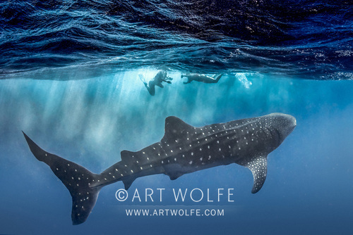 Art Wolfe tweet media