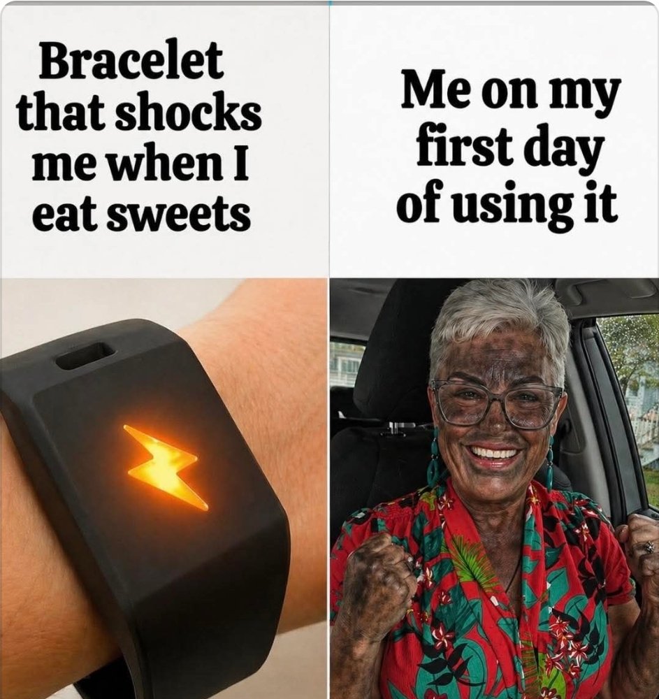 Shelley Tamasi 🫒🧑‍🌾 tweet media