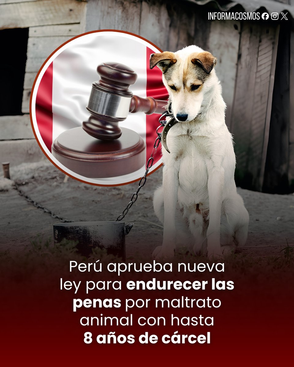 Informa Cosmos tweet media