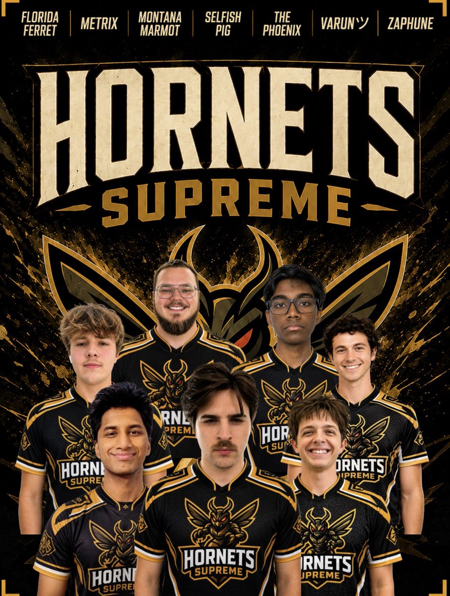 Hornets Gaming Alliance tweet media