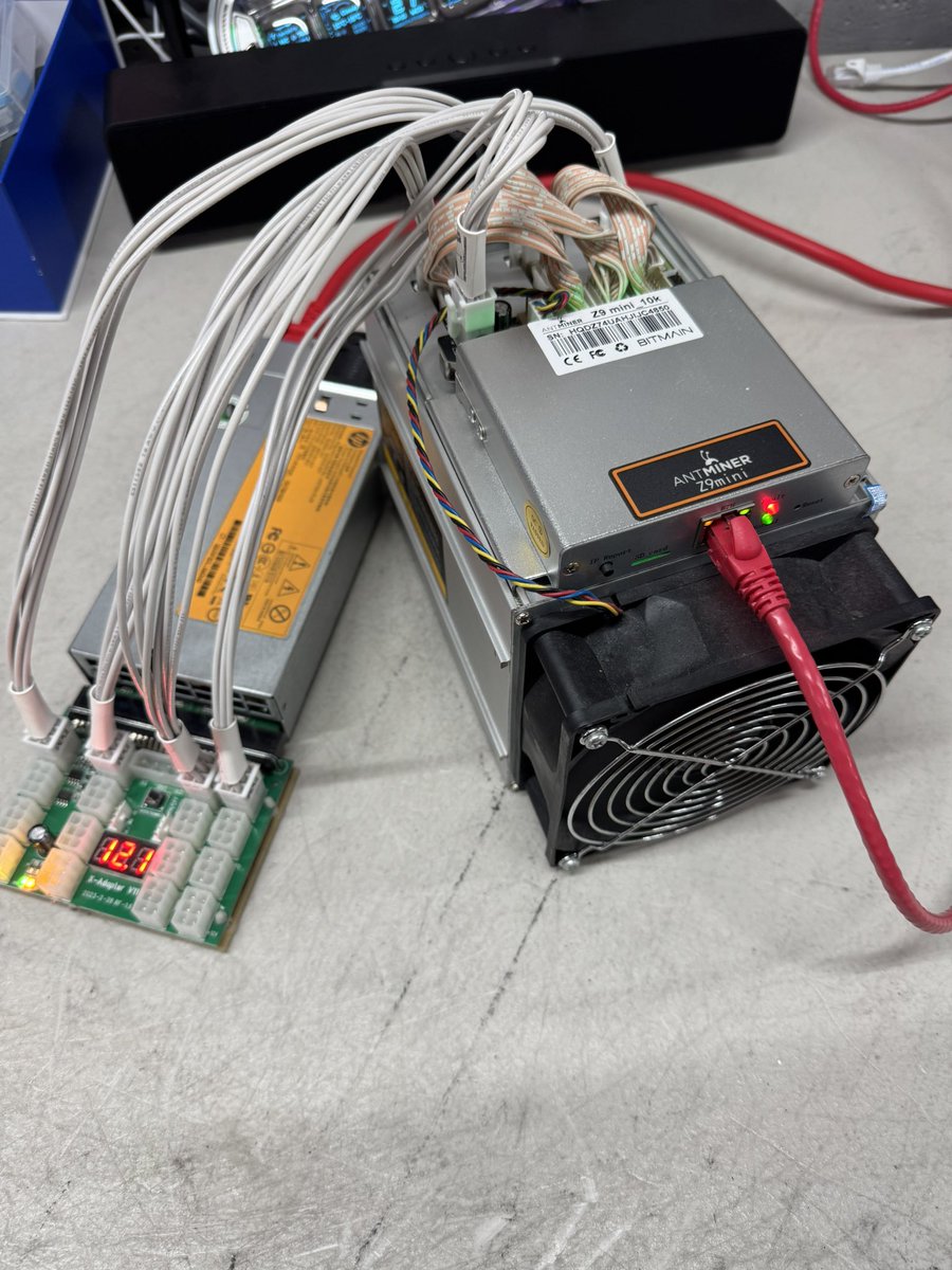 Red Panda Mining tweet media