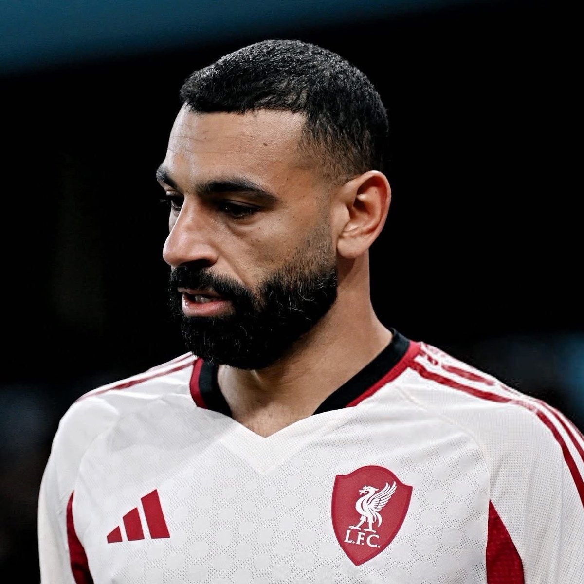 المحترفين المصريين EgyProf tweet media
