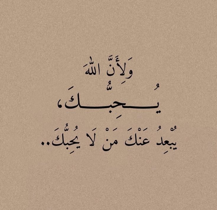حكمة tweet media