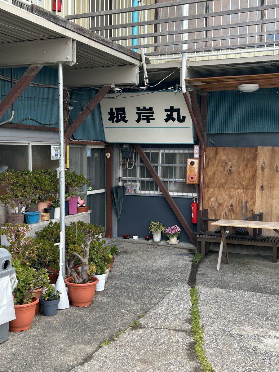 ponta@俺鯵イカ部 tweet media