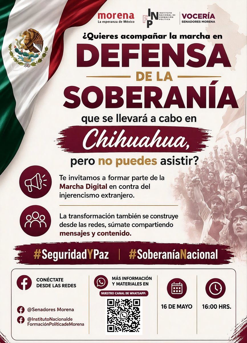 Senadores Morena tweet media