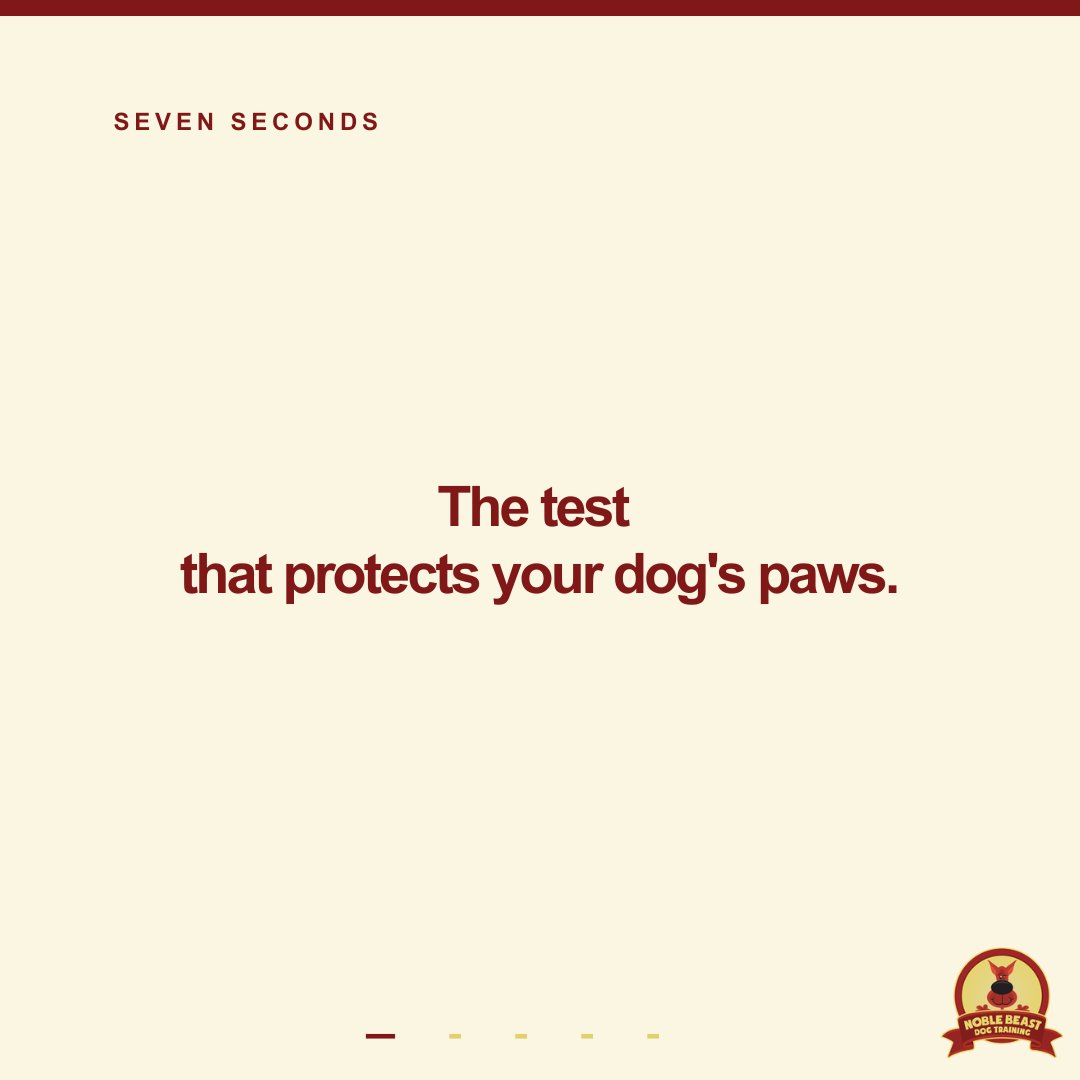 NobleBeastDog's tweet photo. 7-second rule.

Hold the back of your hand on the sidewalk for 7 seconds. 
If you can't, your dog can't.
Denver pavement gets to 110°+ on a 75° day. 
Walk before 8am or after 7pm in grass, dirt,  or shade.

#DogSafety #DenverDogs https://t.co/GFogD39Mj8