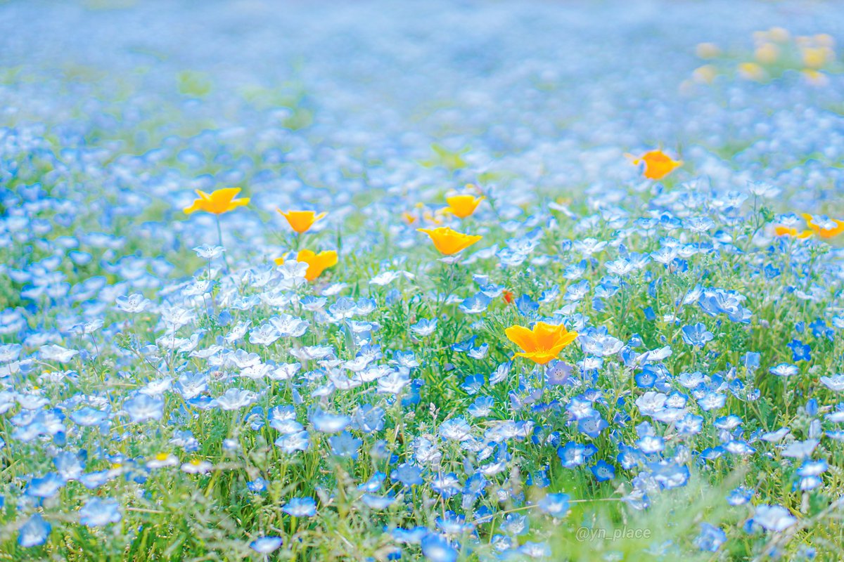 ゆん (@yn_place) / Posts / X