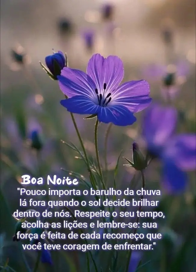 Leila costa tweet media