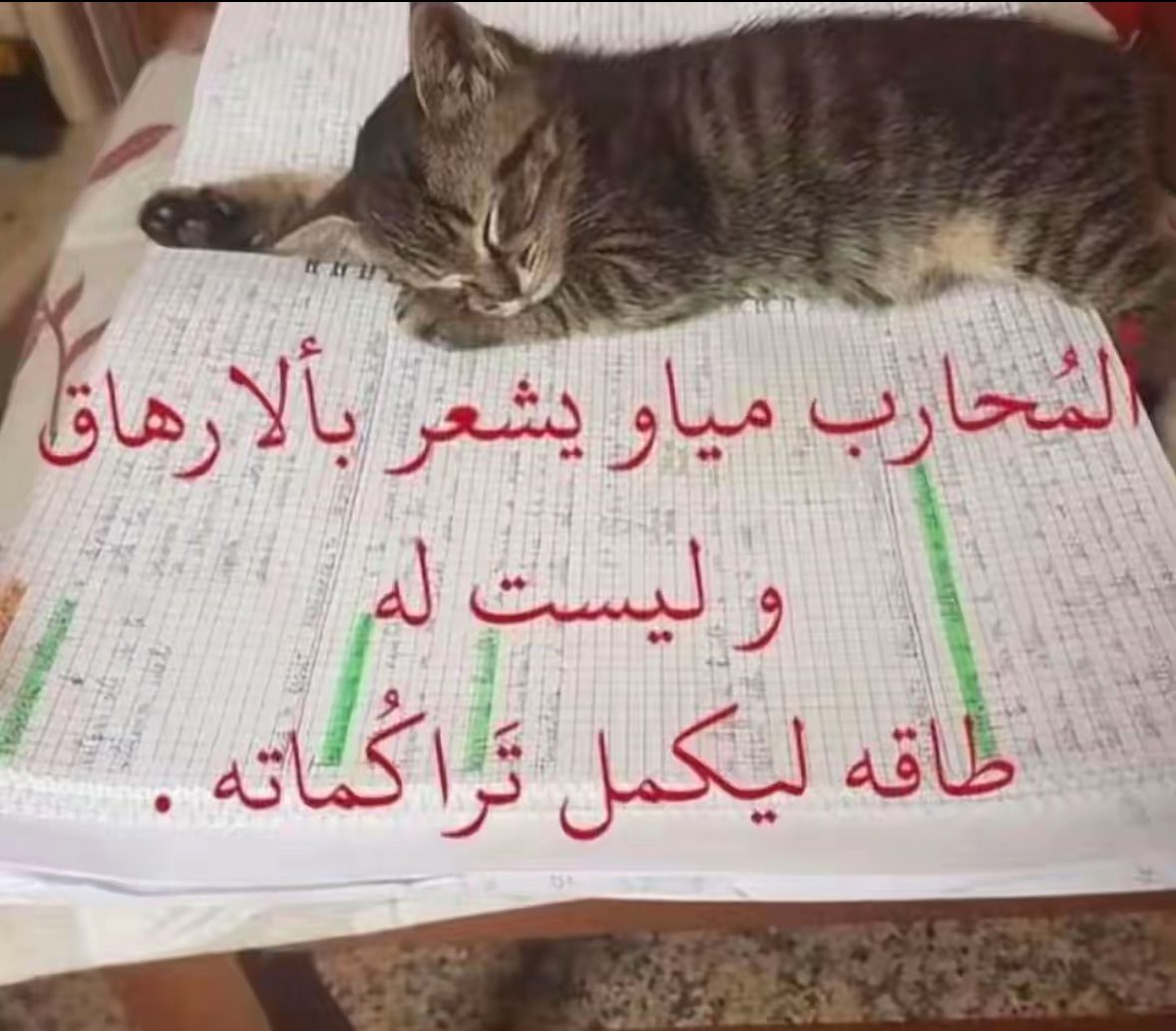 Najd tweet media