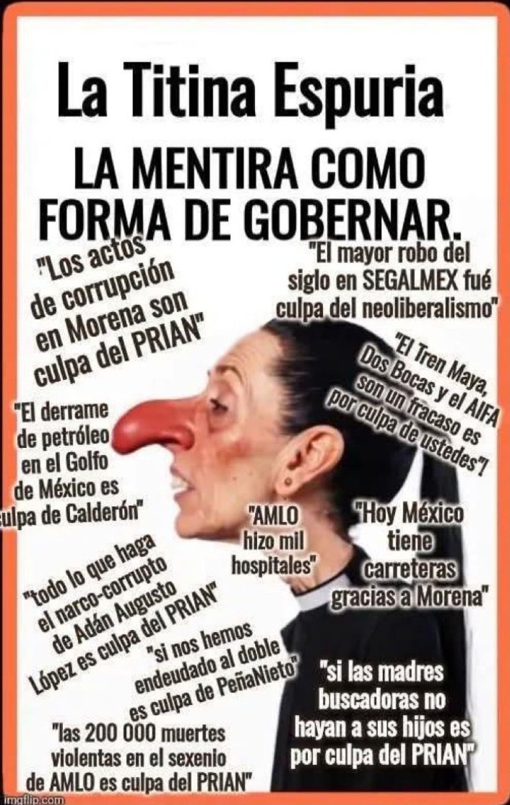 SoyUnElfoDomestico. tweet media