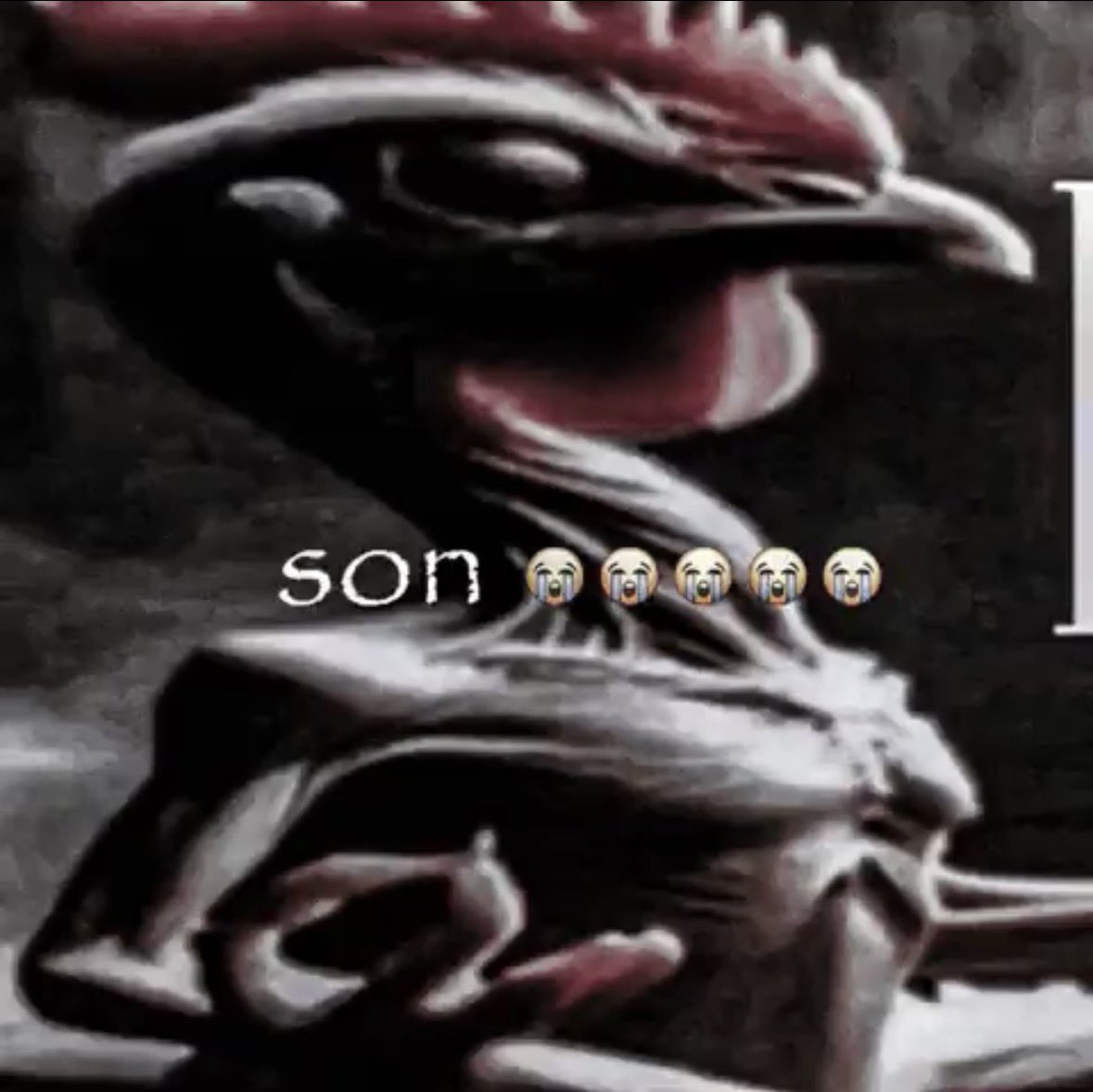 RandomGuyWhoLikesFortnite tweet media