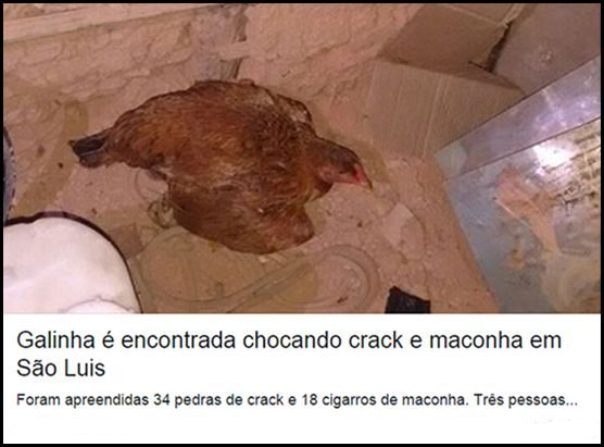 Lara tweet media