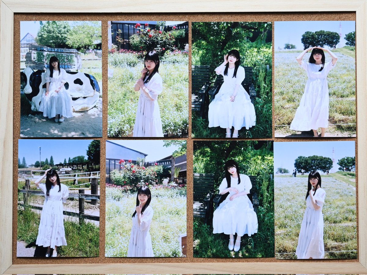 ＜作例あり＞KONICA C35 FD HEXANON 38mm F1.8　試写 HEXANON 38mm F1.8の写り』 KONICA C35FD(1973年)の4現場目は失敗が