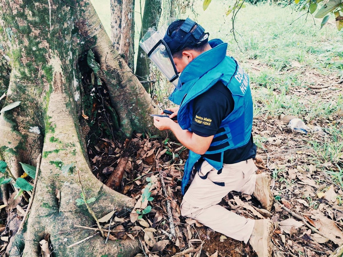Ejército Nacional de Colombia tweet media