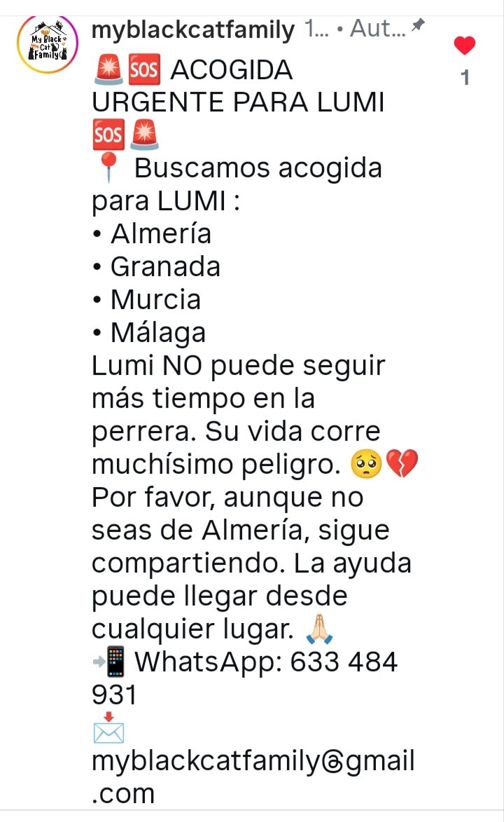 Marisa tweet media