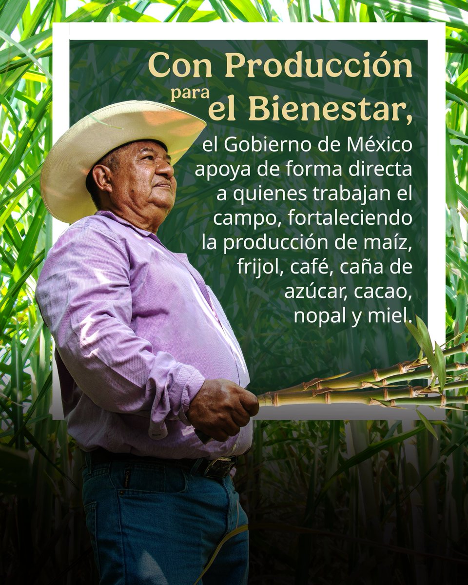 Secretaría de Agricultura y Desarrollo Rural tweet media
