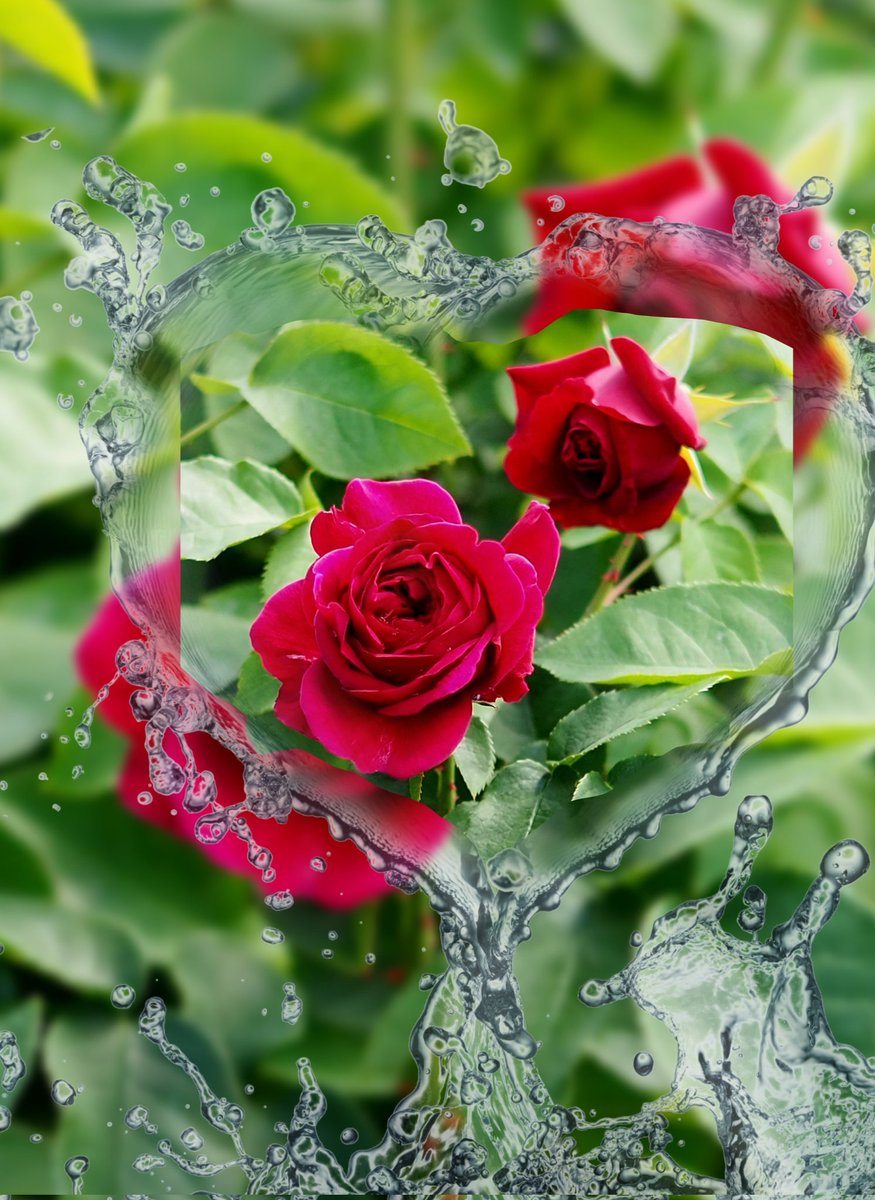 ˖*mᴏᴄᴏ…˖* tweet media