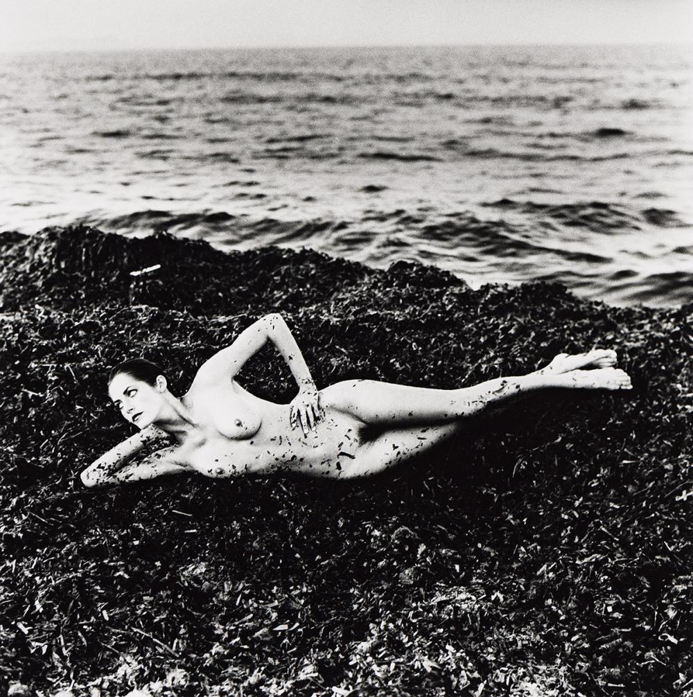 iurissevichillu's tweet photo. Helmut Newton https://t.co/W1wS93xiyl