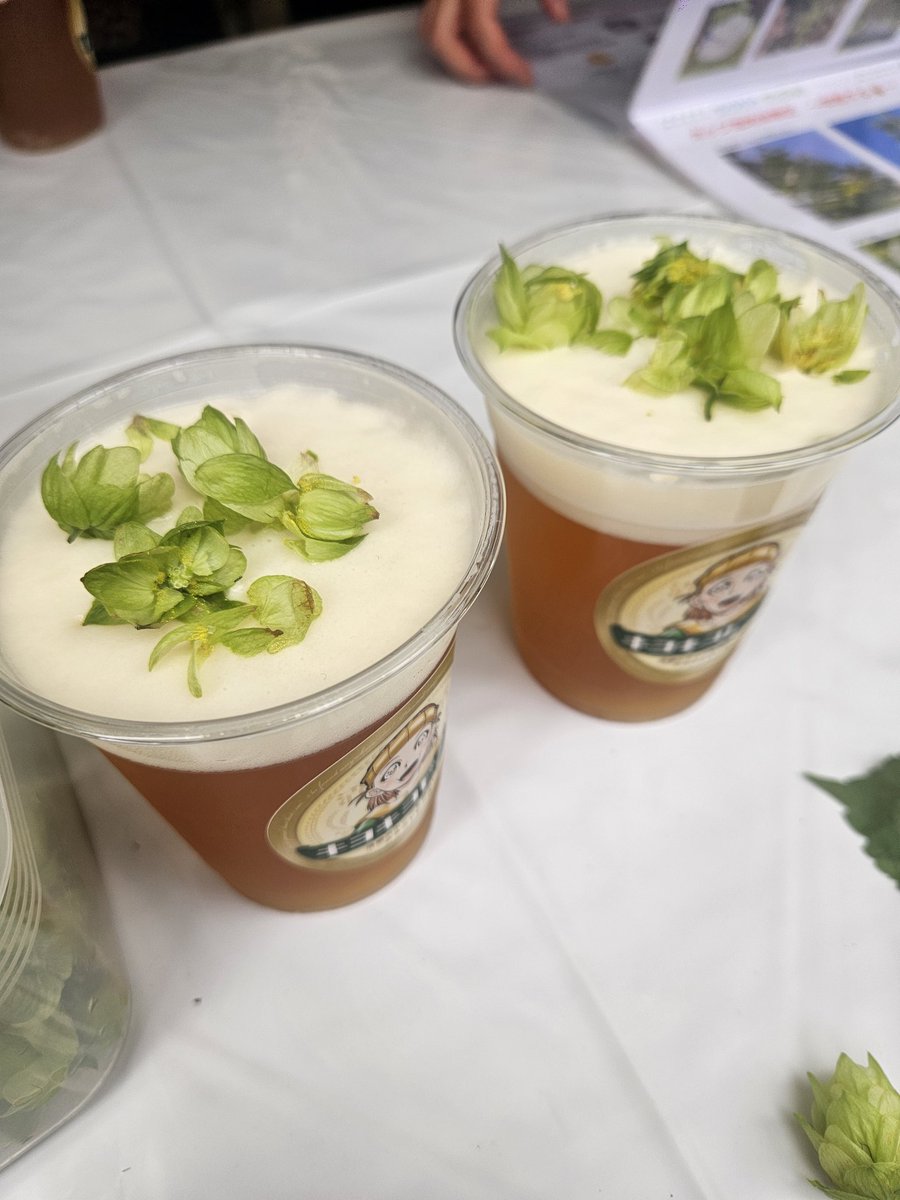 昨年10月に清瀬産のホップを地ビールにのっけていただきましたよ