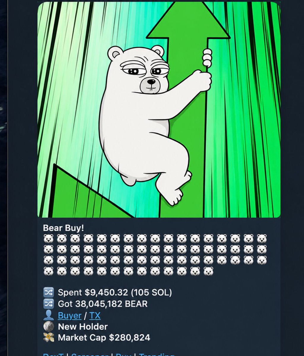Bear 🐻‍❄️ tweet media